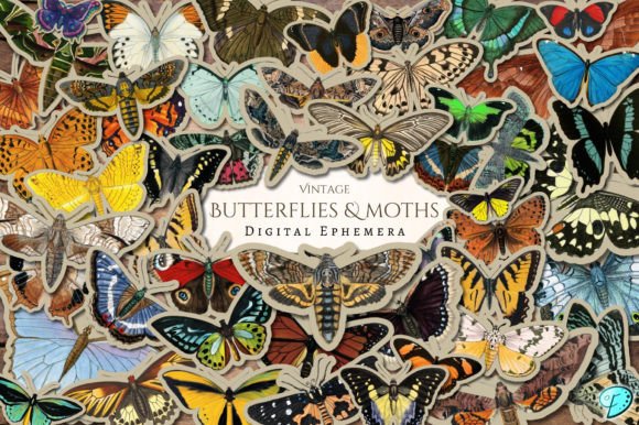 Unleash Nature's Charm: Vintage Butterflies & Moths Ephemera